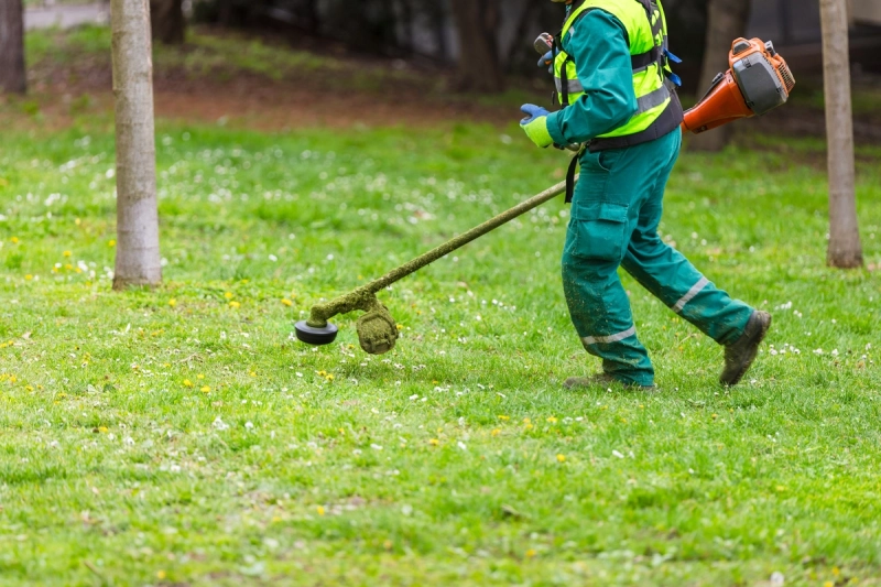 Formation travailleur handicapé à Bordeaux et en France